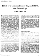 Effect of a combination of SO2 and H2SO4 on guinea pigs