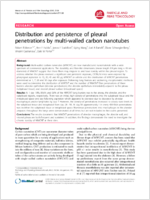 Distribution and Persistence of Pleural Penetrations by MultiWalled Carbon Nanotubes