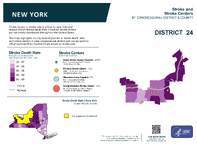 NY Congressional District 24 Stroke and Stroke Centers Map 118th Congress