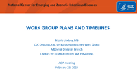 Work group plans and timelines
