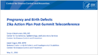 Pregnancy and birth defects Zika Action Plan PostSummit Teleconference