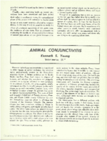 Animal conjunctivitis