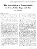 The interrelation of toxoplasmosis in swine cattle dogs and man