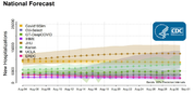 New hospitalizations National Forecast