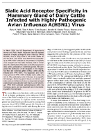 Sialic Acid Receptor Specificity in Mammary Gland of Dairy Cattle Infected with Highly Pathogenic Avian Influenza AH5N1 Virus