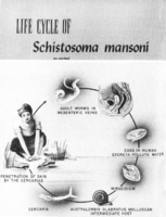 Public Health Report  v 68 no 12  frontispiece