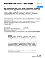 Iron Oxide Nanoparticles Induce Human Microvascular Endothelial Cell Permeability through Reactive Oxygen Species Production and Microtubule Remodeling