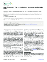 Draft Genome of a Type 4 Pilus Defective Myxococcus xanthus Strain DZF1