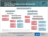 Interim Guidance Pregnant Women Residing in an Area with Ongoing Zika Virus Transmission March 1 2016