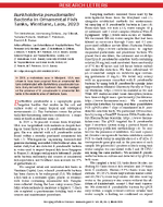 Burkholderia pseudomallei Bacteria in Ornamental Fish Tanks Vientiane Laos 2023