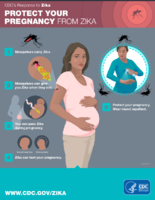 Protect Your Pregnancy from Zika 10282016