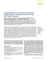 Targeted Deletion and Inversion of Tandemly Arrayed Genes in Arabidopsis thaliana Using Zinc Finger Nucleases