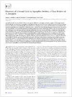 Discovery of a Sexual Cycle in Aspergillus lentulus a Close Relative of A fumigatus