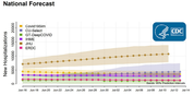 New hospitalizations National Forecast
