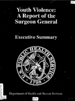 Youth violence  a report of the Surgeon General  executive summary