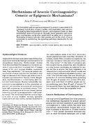 Mechanisms of Arsenic Carcinogenicity Genetic or Epigenetic Mechanisms