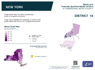 NY Congressional District 14 Stroke and Federally Qualified Health Centers Map 118th Congress