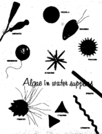 Public Health Rep v 74 no 11  masthead