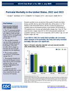 Perinatal Mortality in the United States 2022 and 2023