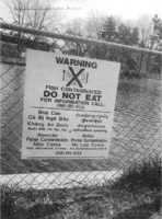 Methylmercury A New Look At The Risks