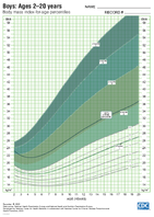 Body Mass IndexforAge Percentiles Boys Ages 220 Years ZScores