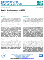 Deaths Leading Causes for 2020
