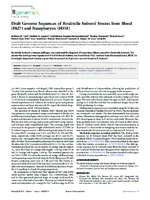 Draft Genome Sequences of Bordetella holmesii Strains from Blood F627 and Nasopharynx H558