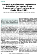 Zoonotic Ancylostoma ceylanicum Infection in Coyotes from Guanacaste Conservation Area Costa Rica 2021