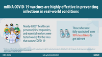mRNA COVID19 Vaccines Are Highly Effective in Preventing Infections in Realworld Conditions