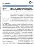 Rapid in situ plasma functionalization of carbon nanotubes for improved CNTepoxy composites
