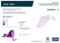 NY Congressional District 11 Stroke and Federally Qualified Health Centers Map 118th Congress