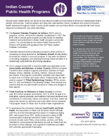 Indian Country Public Health Programs Healthy Brain Initiative Road Map for Indian Country