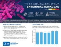 CDCs 2019 Antibiotic Resistance Threats Report Carbapenemresistant Enterobacteriaceae CRE