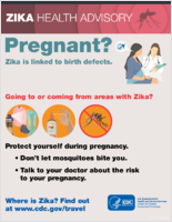 Pregnant Zika is linked to birth defects Recently been in a area with Zika