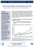 Drug Overdose Deaths in the United States 20022022