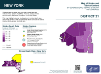 NY Congressional District 21 Stroke and Stroke Centers Map 119th Congress