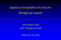 Japanese Encephalitis JE Vaccine Workgroup update