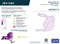 NY Congressional District 08 Stroke and Stroke Centers Map 119th Congress