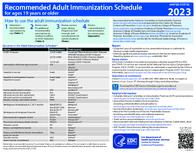 Recommended adult immunization schedule for ages 19 years or older United States 2023