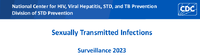 Sexually Transmitted Infections Surveillance 2023