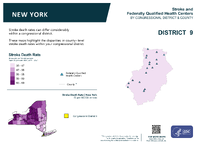 NY Congressional District 09 Stroke and Federally Qualified Health Centers Map 118th Congress