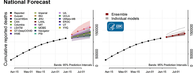 Cumulative death forecasts National Forecast