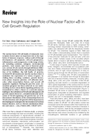 New Insights into the Role of Nuclear FactorkB in Cell Growth Regulation