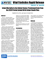 Infant Mortality in the United States Provisional Data From the 2024 Period Linked BirthInfant Death Files