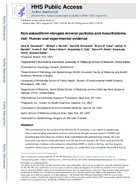 Nonasbestiform elongate mineral particles and mesothelioma risk Human and experimental evidence