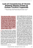 Lack of Transmission of Chronic Wasting Disease Prions to Human Cerebral Organoids