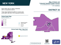 NY Congressional District 25 Stroke and Federally Qualified Health Centers Map 119th Congress