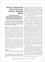 Human Rickettsia felis Infection Canary Islands Spain