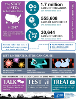 The State of STDs in the United States in 2017