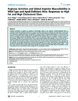 Arginase Activities and Global Arginine Bioavailability in WildType and ApoEDeficient Mice Responses to High Fat and High Cholesterol Diets